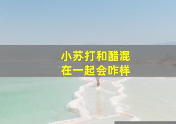 小苏打和醋混在一起会咋样