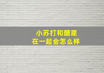 小苏打和醋混在一起会怎么样