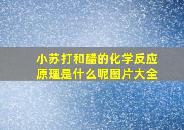 小苏打和醋的化学反应原理是什么呢图片大全