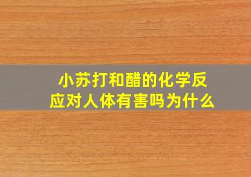 小苏打和醋的化学反应对人体有害吗为什么