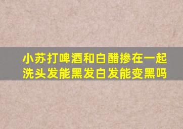 小苏打啤酒和白醋掺在一起洗头发能黑发白发能变黑吗