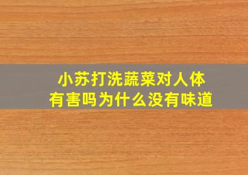 小苏打洗蔬菜对人体有害吗为什么没有味道