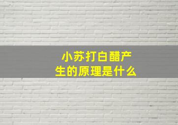 小苏打白醋产生的原理是什么