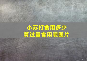 小苏打食用多少算过量食用呢图片