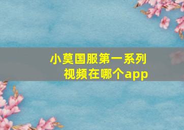 小莫国服第一系列视频在哪个app