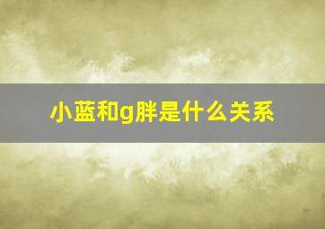 小蓝和g胖是什么关系