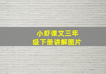 小虾课文三年级下册讲解图片