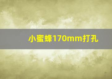 小蜜蜂170mm打孔