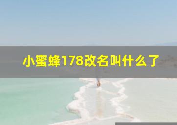 小蜜蜂178改名叫什么了