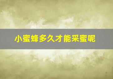 小蜜蜂多久才能采蜜呢