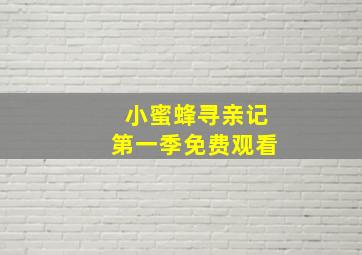 小蜜蜂寻亲记第一季免费观看