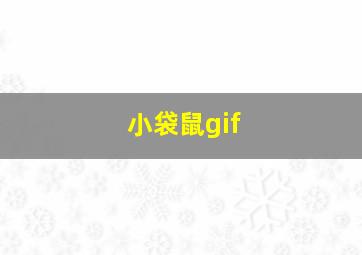 小袋鼠gif