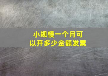 小规模一个月可以开多少金额发票