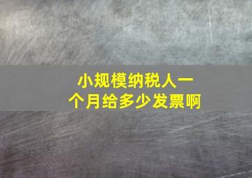 小规模纳税人一个月给多少发票啊