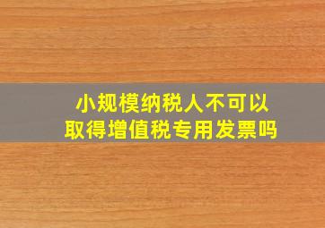 小规模纳税人不可以取得增值税专用发票吗