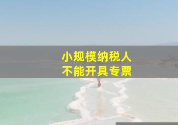 小规模纳税人不能开具专票