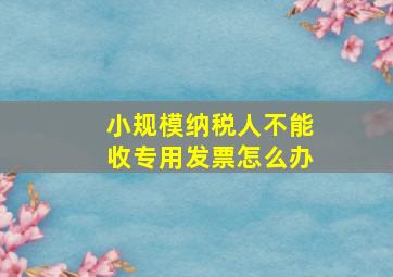 小规模纳税人不能收专用发票怎么办