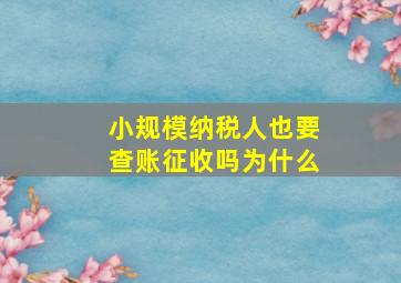 小规模纳税人也要查账征收吗为什么