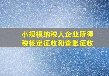 小规模纳税人企业所得税核定征收和查账征收