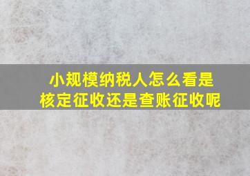 小规模纳税人怎么看是核定征收还是查账征收呢