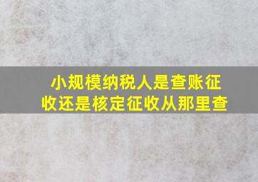 小规模纳税人是查账征收还是核定征收从那里查