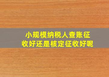 小规模纳税人查账征收好还是核定征收好呢