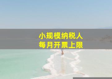 小规模纳税人每月开票上限