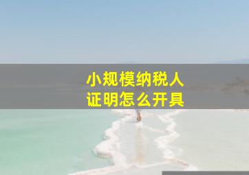 小规模纳税人证明怎么开具