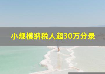 小规模纳税人超30万分录