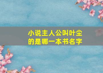 小说主人公叫叶尘的是哪一本书名字