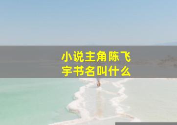 小说主角陈飞宇书名叫什么