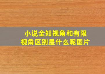 小说全知视角和有限视角区别是什么呢图片