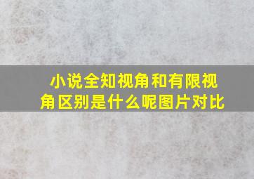 小说全知视角和有限视角区别是什么呢图片对比