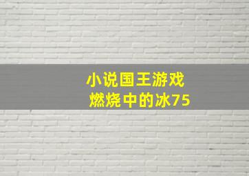 小说国王游戏燃烧中的冰75