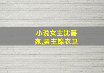 小说女主沈嘉宛,男主锦衣卫