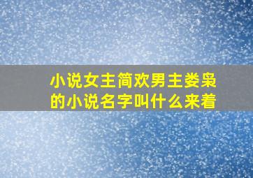 小说女主简欢男主娄枭的小说名字叫什么来着