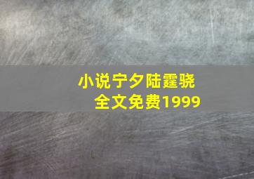 小说宁夕陆霆骁全文免费1999