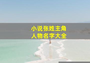 小说张姓主角人物名字大全