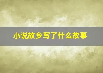 小说故乡写了什么故事