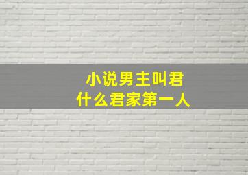 小说男主叫君什么君家第一人