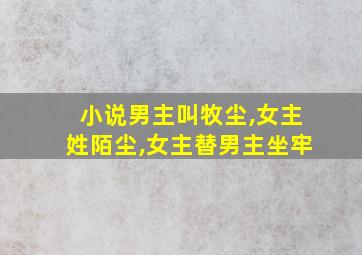 小说男主叫牧尘,女主姓陌尘,女主替男主坐牢