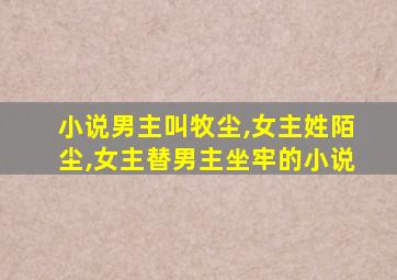 小说男主叫牧尘,女主姓陌尘,女主替男主坐牢的小说