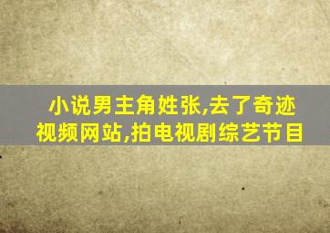 小说男主角姓张,去了奇迹视频网站,拍电视剧综艺节目