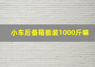 小车后备箱能装1000斤嘛