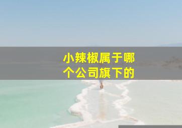 小辣椒属于哪个公司旗下的