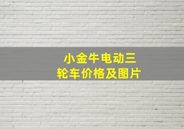 小金牛电动三轮车价格及图片