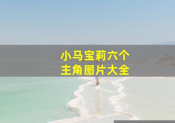 小马宝莉六个主角图片大全