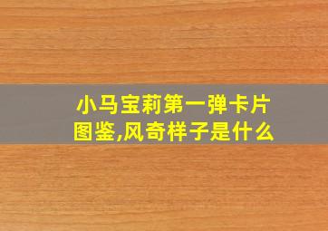 小马宝莉第一弹卡片图鉴,风奇样子是什么