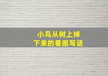 小鸟从树上掉下来的看图写话