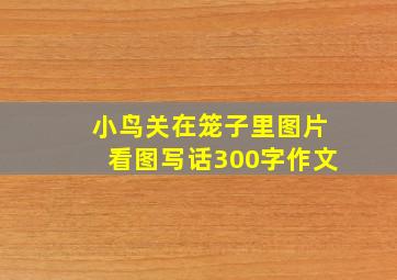 小鸟关在笼子里图片看图写话300字作文